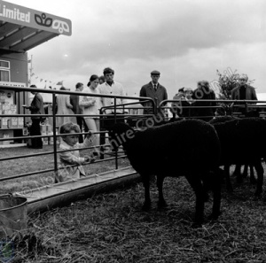 Great Yorkshire Show, 1970